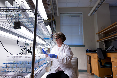 scientist working in a lab